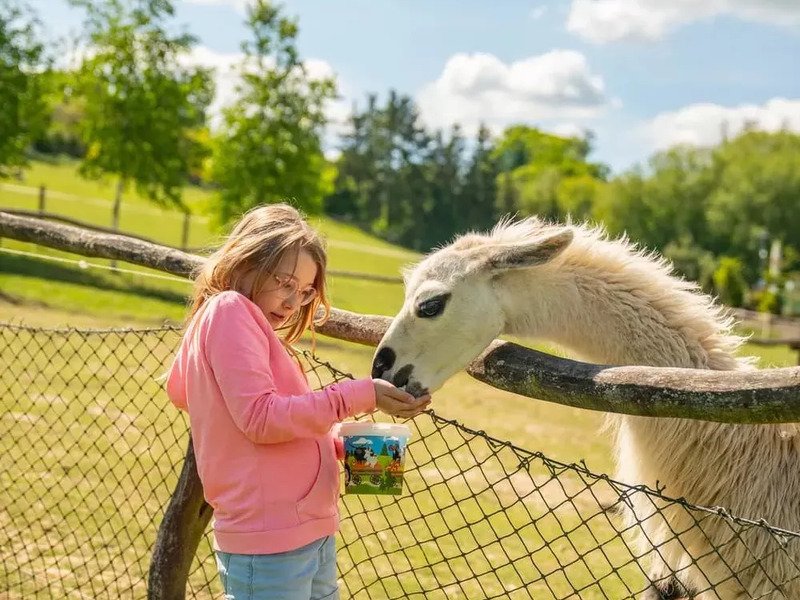 Celodenní vstup do Farmaparku Soběhrdy