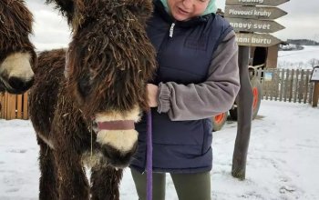 Celodenní vstup do Farmaparku Soběhrdy
