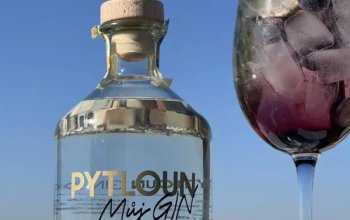 Romantické aperitivo s koktejlem v restauraci Zlatý Kohout