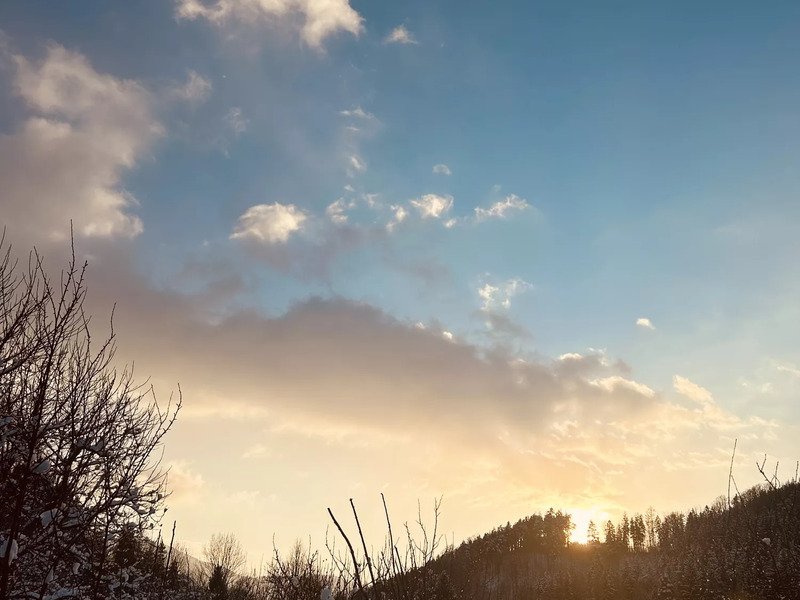 Tiny house mezi stromy v Jizerských horách