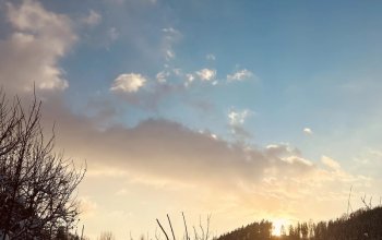 Tiny house mezi stromy v Jizerských horách