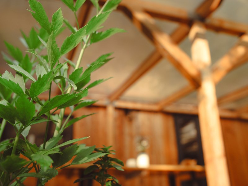 Tiny house mezi stromy v Jizerských horách