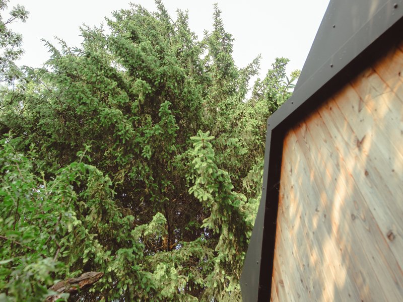 Tiny house mezi stromy v Jizerských horách