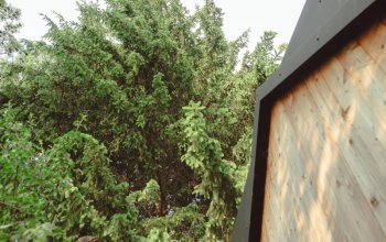 Tiny house mezi stromy v Jizerských horách