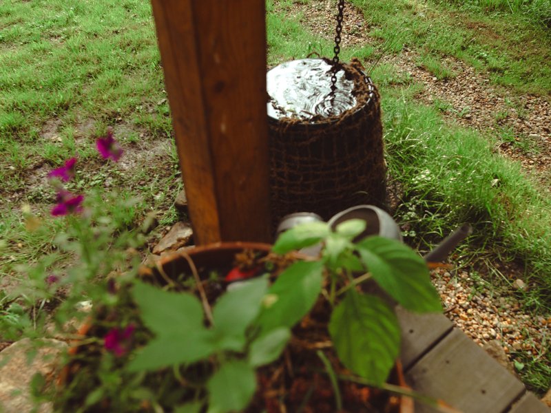 Tiny house mezi stromy v Jizerských horách