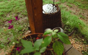 Tiny house mezi stromy v Jizerských horách