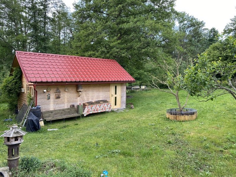 Apiterapie: Včelí terapie v sauně, masáž a relaxace na úlech