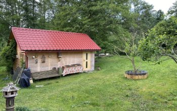 Apiterapie: Včelí terapie v sauně, masáž a relaxace na úlech