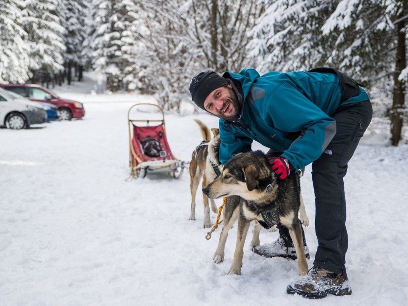 Mushing - jízda se psím spřežením