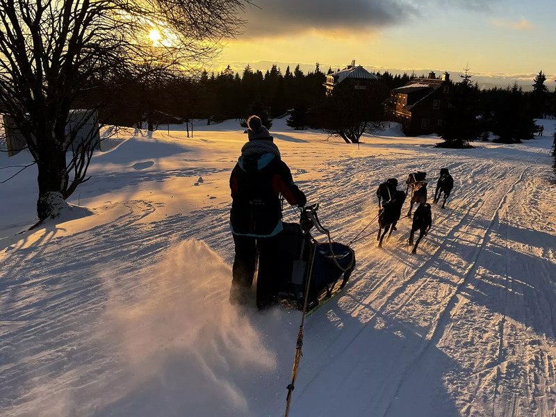Mushing - jízda se psím spřežením