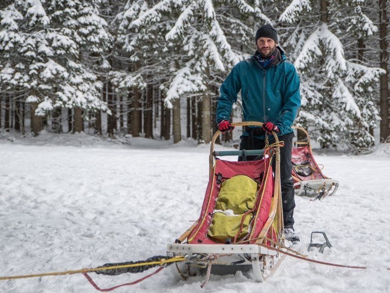 Mushing - jízda se psím spřežením