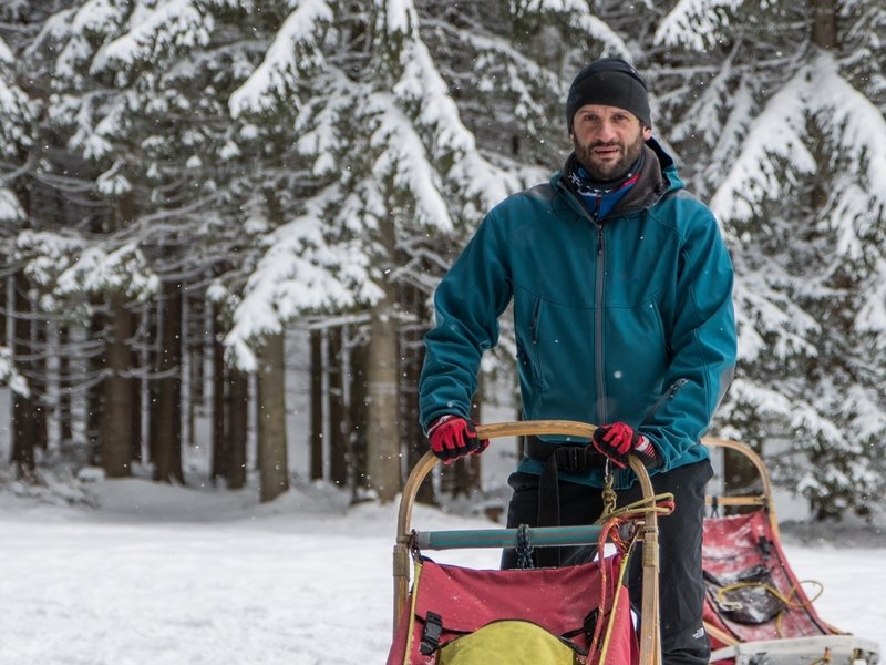 Mushing - jízda se psím spřežením