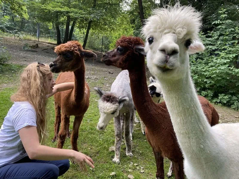 Setkání s exotickými živočichy