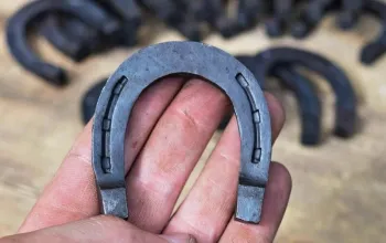 Zážitkový skupinový kovářský kurz na pevnosti Fort XVII