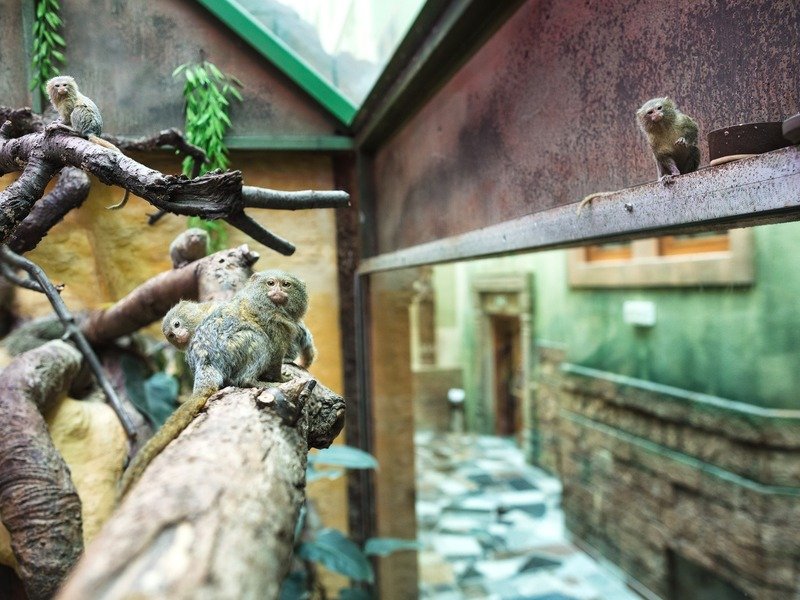 Wellness pobyt pro dva s nekonečnou zábavou: Babylon Liberec