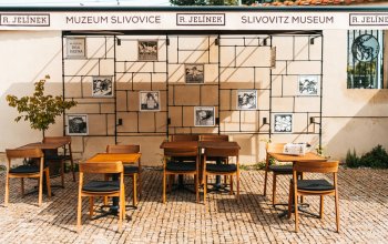 Interaktivní cesta světem slivovice s 5D zážitkem a degustací