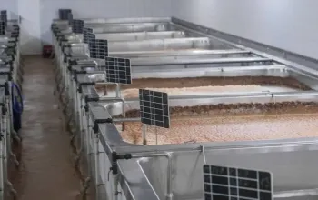 Pivní lázně s ubytováním v *** hotelu