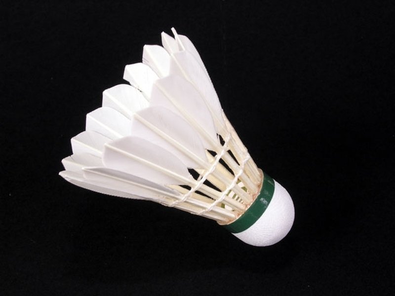 Badminton s mistryní ČR