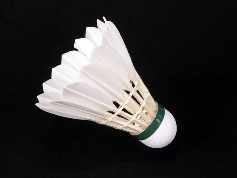 Badminton s mistryní ČR