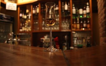 Whisky univerzita