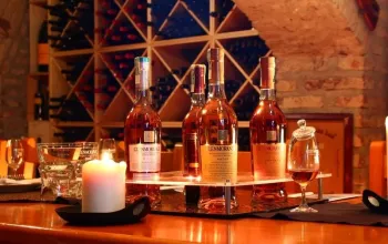 Whisky univerzita