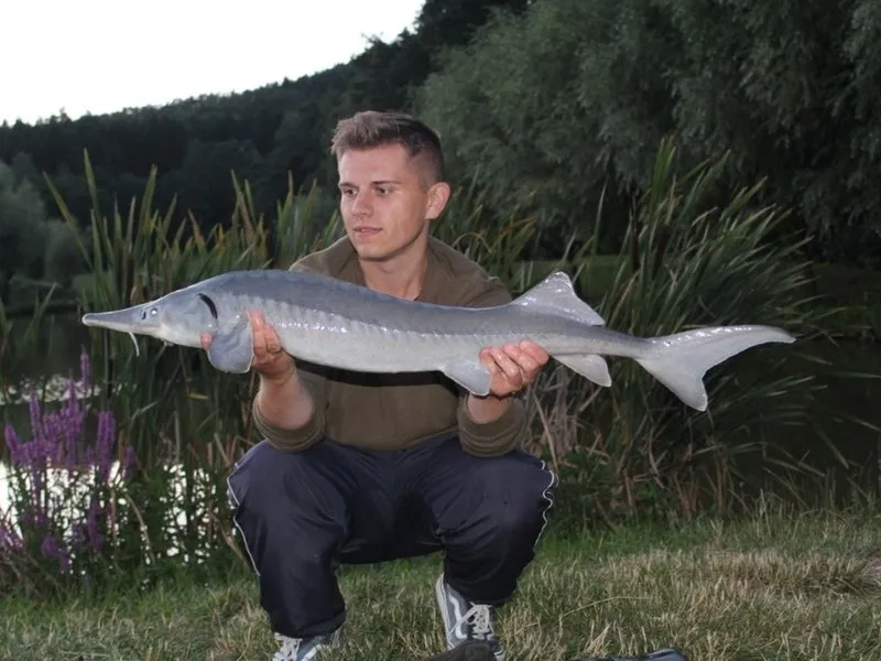 Rybaření na soukromém rybníku | zážitkový poukaz