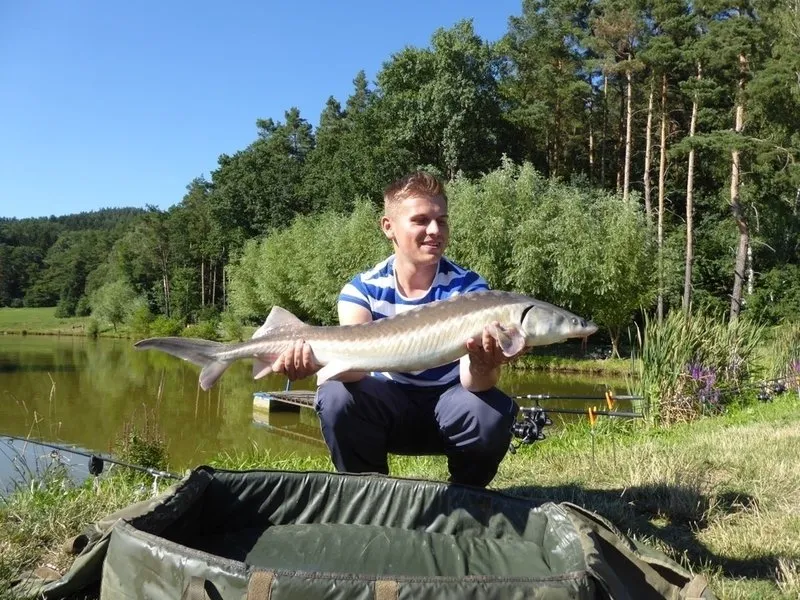 Rybaření na soukromém rybníku | zážitkový poukaz