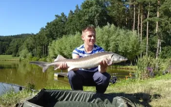 Rybaření na soukromém rybníku | zážitkový poukaz