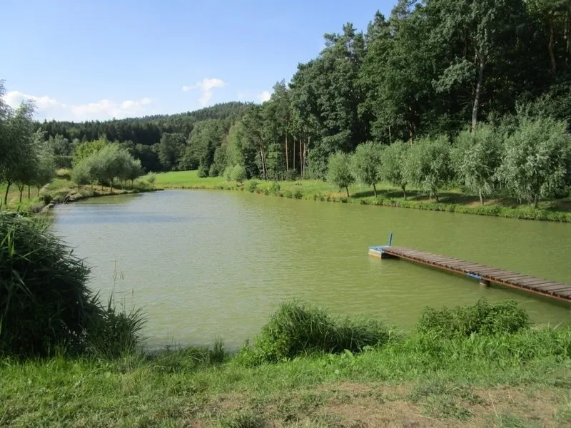 Rybaření na soukromém rybníku | zážitkový poukaz
