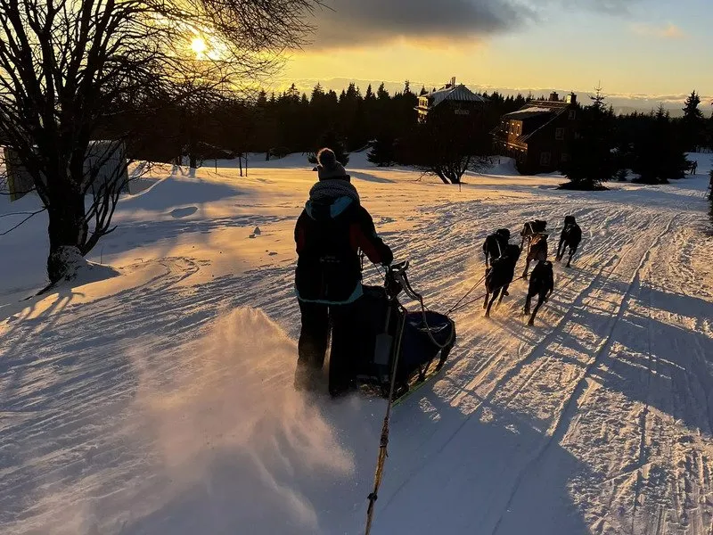 Mushing - jízda se psím spřežením