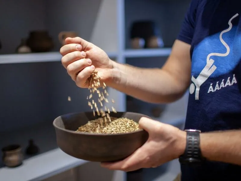 Dobrodružná hra Arcana na Zámku Svijany
