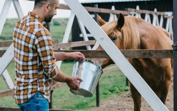 Farmářem na zkoušku aneb den s koňmi – dárek a zážitek