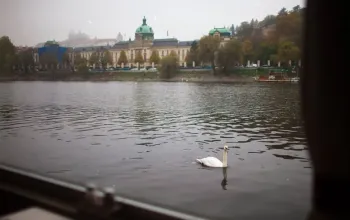 Romantická plavba po Vltavě s výhledem a gurmánským zážitkem