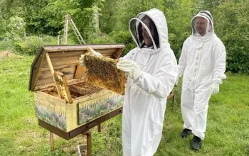 Včelařem na zkoušku – dárek a zážitek