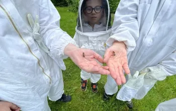 Včelařem na zkoušku