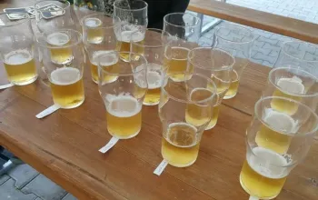Děčínem na koloběžce + degustace piva Nomád