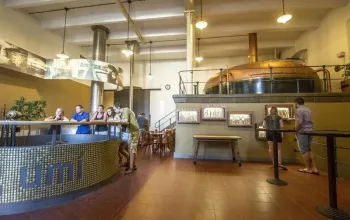 Škola čepování Kozel + prohlídka pivovaru Velké Popovice