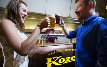 Škola čepování Kozel + prohlídka pivovaru Velké Popovice