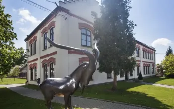 Škola čepování Kozel + prohlídka pivovaru Velké Popovice