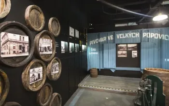 Škola čepování Kozel + prohlídka pivovaru Velké Popovice