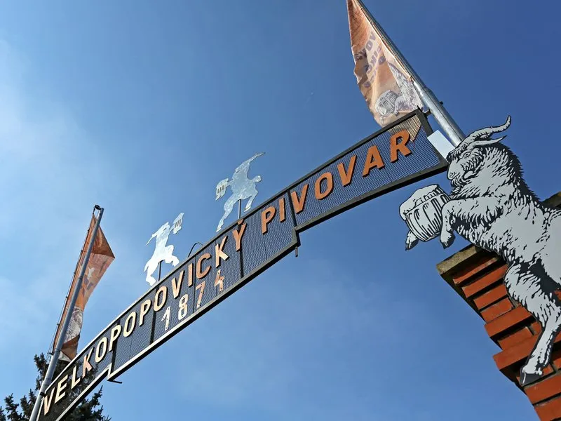 Škola čepování Kozel + prohlídka pivovaru Velké Popovice