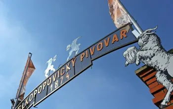 Škola čepování Kozel + prohlídka pivovaru Velké Popovice