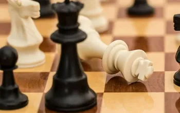 Online šachový kurz pro začátečníky a mírně pokročilé Celá ČR