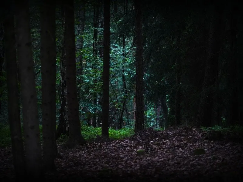 Venkovní úniková hra: Zakletá stezka