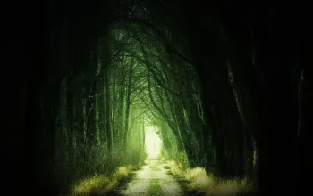 Venkovní úniková hra: Zakletá stezka