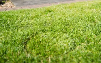 Ideální zásobník piva na zahradu: Šachta na 15 lahví