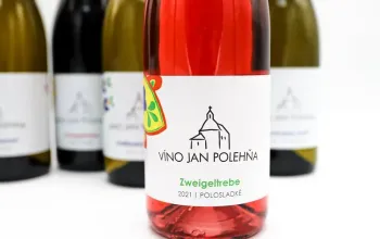 Domácí degustace moravských vín + bedna 6 lahví