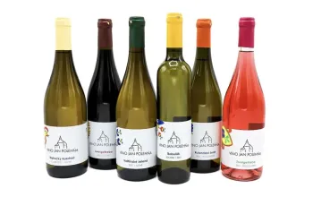 Domácí degustace moravských vín + bedna 6 lahví