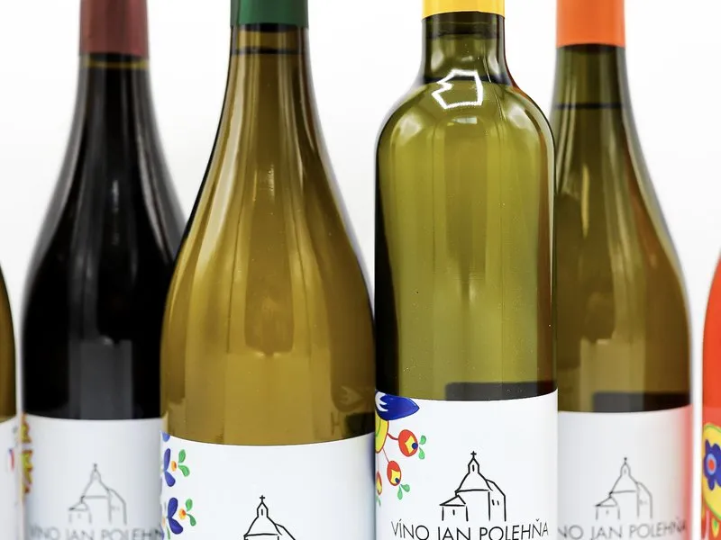 Domácí degustace moravských vín + bedna 6 lahví
