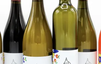 Domácí degustace moravských vín + bedna 6 lahví